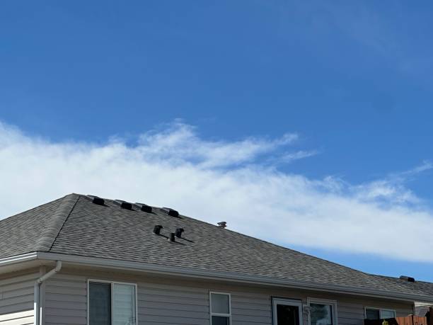 Best Roof Repair  in Plains, TX